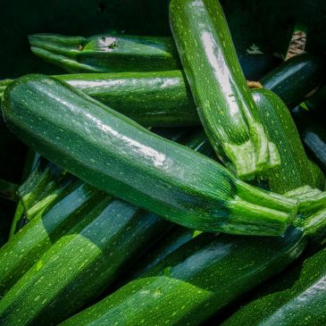 Zucchine: proprietà, benefici e usi in cucina